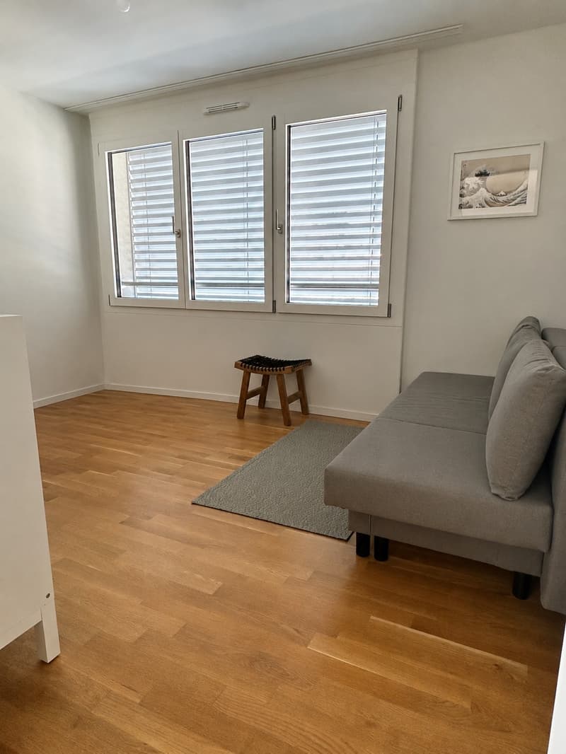 Sous-location meublée Appartement de 4,5 pièces (90 m²) à Nyon / Furnished sublet 4.5-room apartment (90 m²) in Nyon (12)