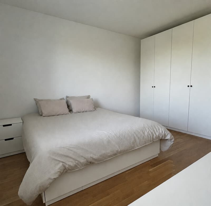 Sous-location meublée Appartement de 4,5 pièces (90 m²) à Nyon / Furnished sublet 4.5-room apartment (90 m²) in Nyon (6)