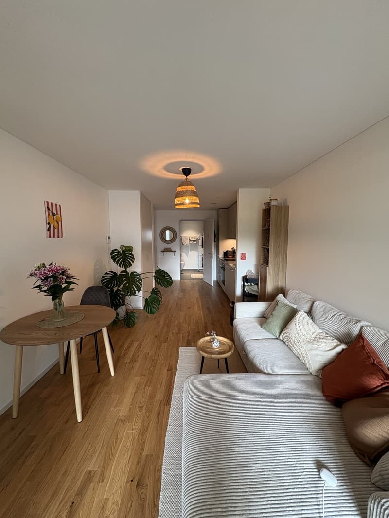 Neue 2.5 Zimmer- Wohnung im beliebten Tribschenquartier (1)