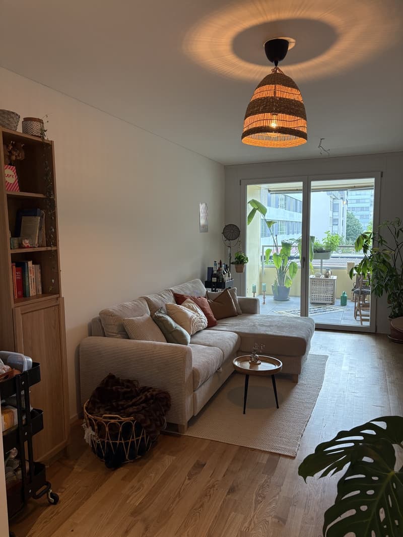 Neue 2.5 Zimmer- Wohnung im beliebten Tribschenquartier (2)