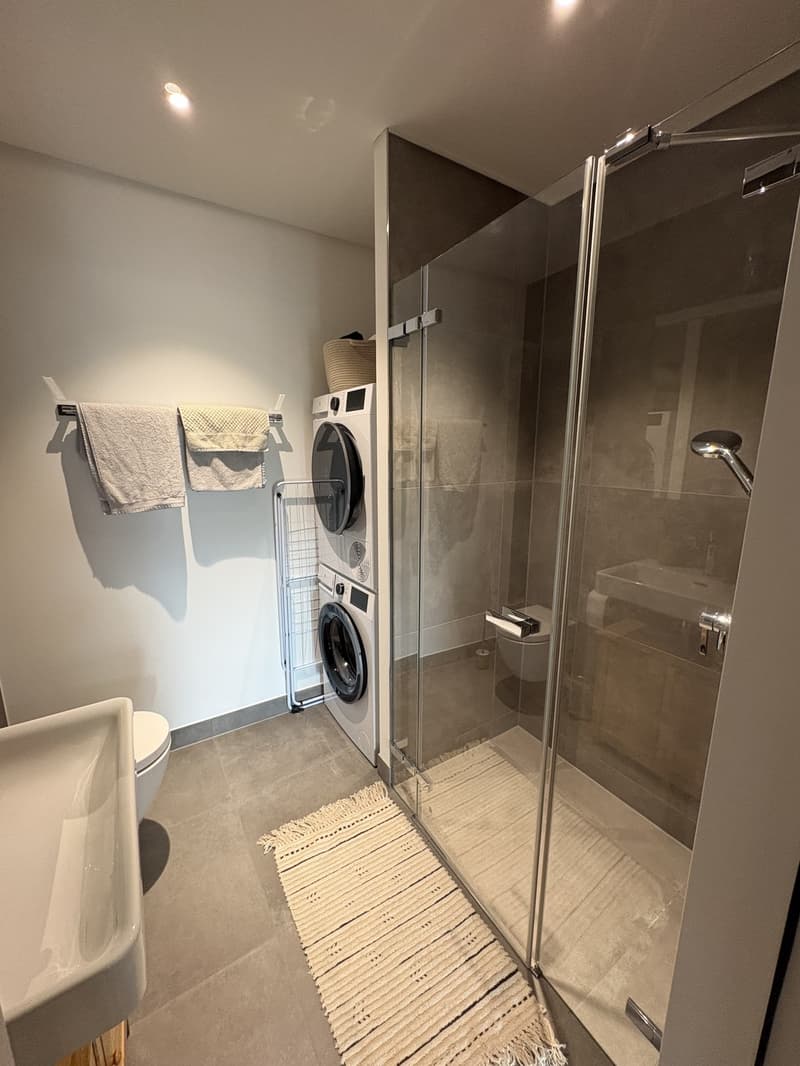 Neue 2.5 Zimmer- Wohnung im beliebten Tribschenquartier (9)