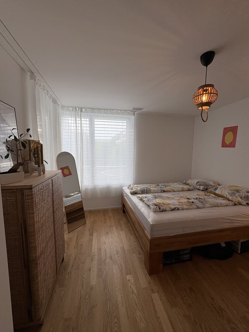 Neue 2.5 Zimmer- Wohnung im beliebten Tribschenquartier (6)