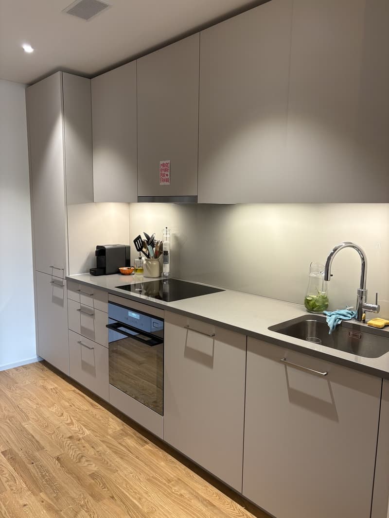 Neue 2.5 Zimmer- Wohnung im beliebten Tribschenquartier (4)