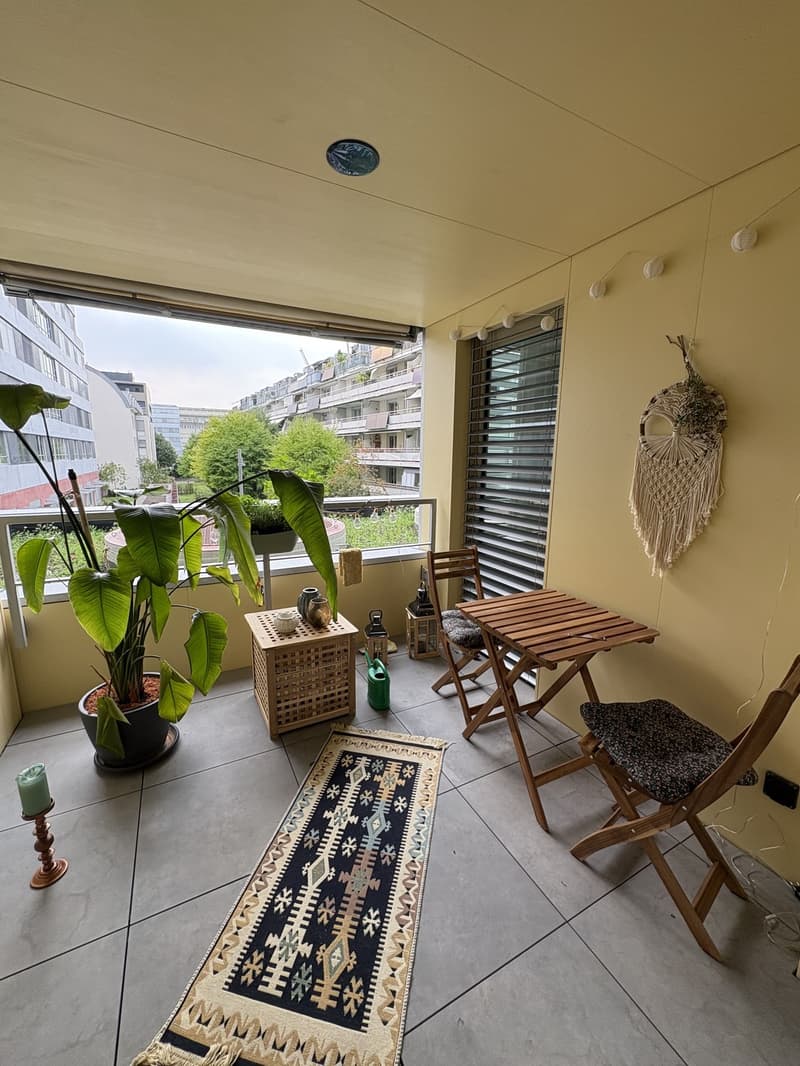 Neue 2.5 Zimmer- Wohnung im beliebten Tribschenquartier (5)