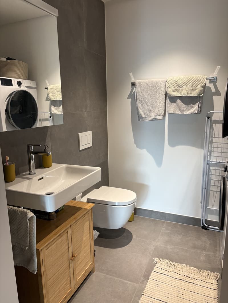 Neue 2.5 Zimmer- Wohnung im beliebten Tribschenquartier (8)