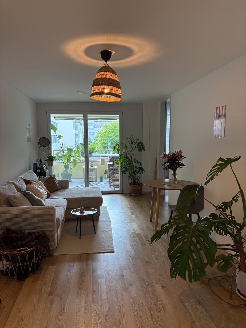 Neue 2.5 Zimmer- Wohnung im beliebten Tribschenquartier (3)