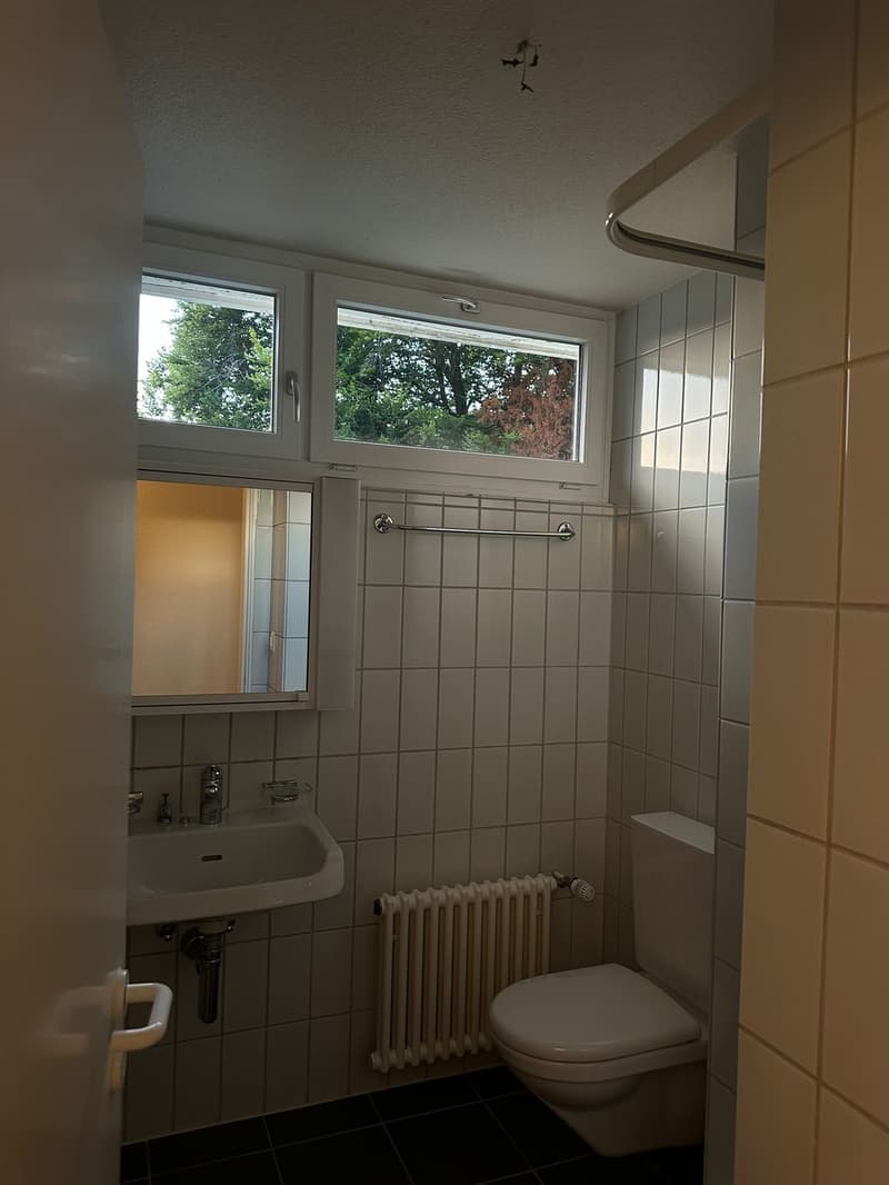 Colocation - KÜSNACHT (4)
