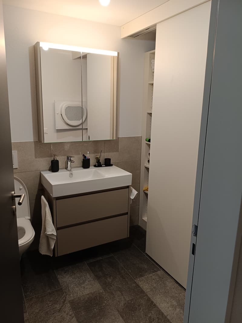 4 ½ Zimmer-Wohnung, 8808 Pfäffikon SZ (1)