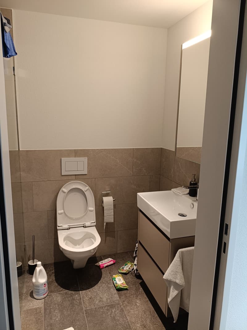 4 ½ Zimmer-Wohnung, 8808 Pfäffikon SZ (2)