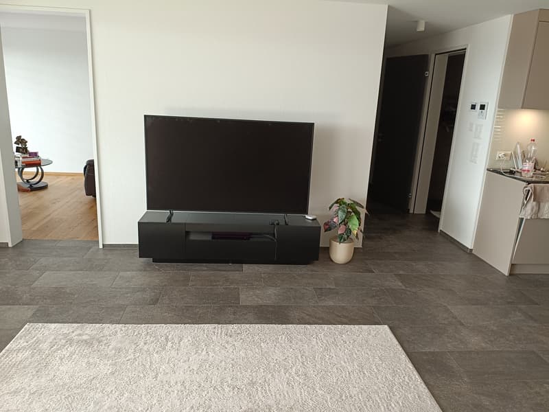 4 ½ Zimmer-Wohnung, 8808 Pfäffikon SZ (10)