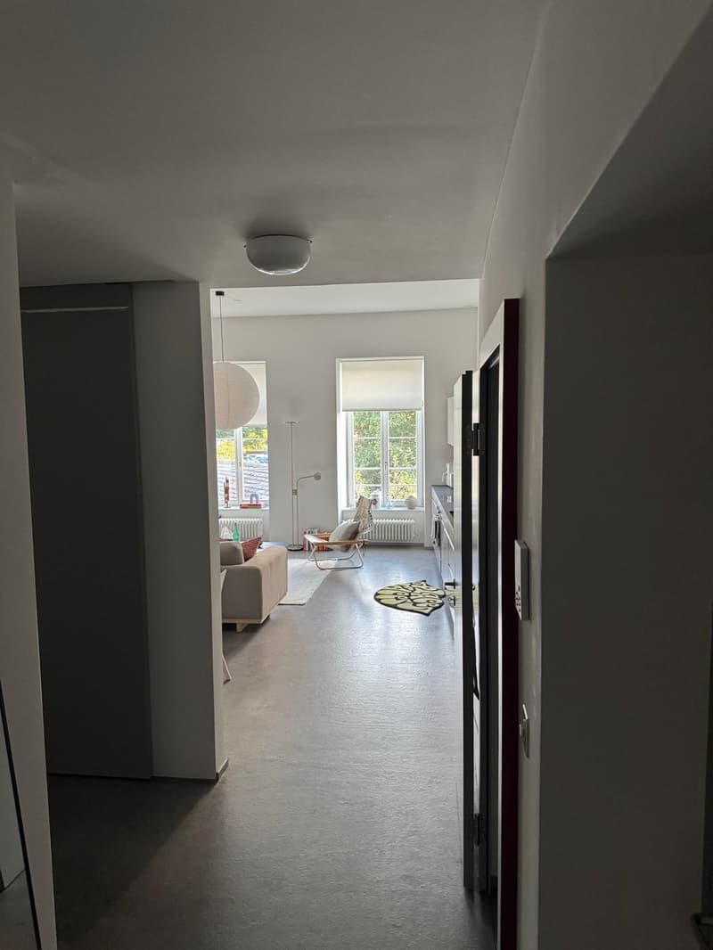 Schöne Loftwohnung (3)