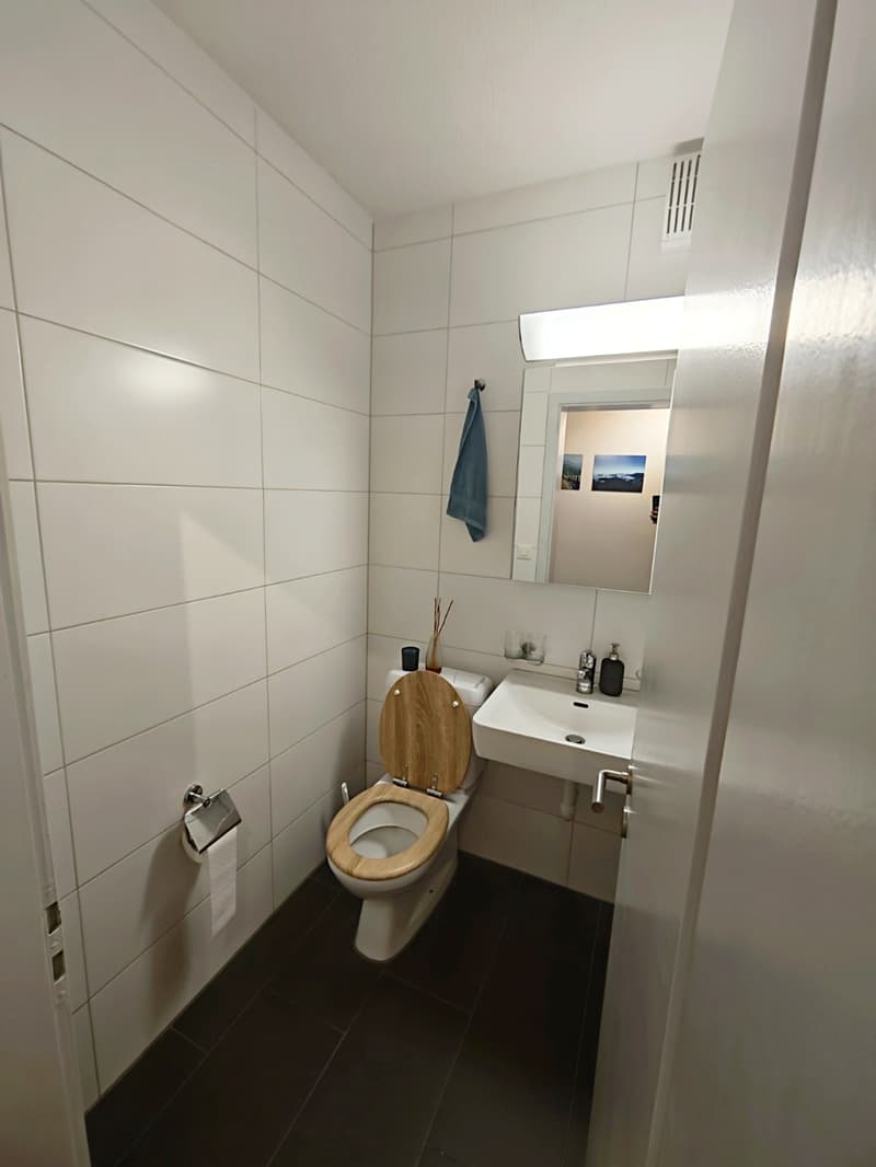 1 year furnished - Walking distance to Wankdorf Station (9)