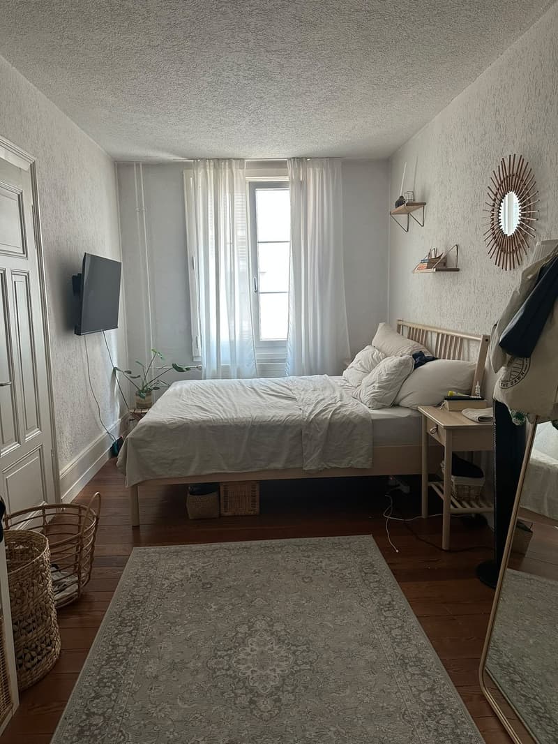 Apartment in the heart of Lucerne (5)