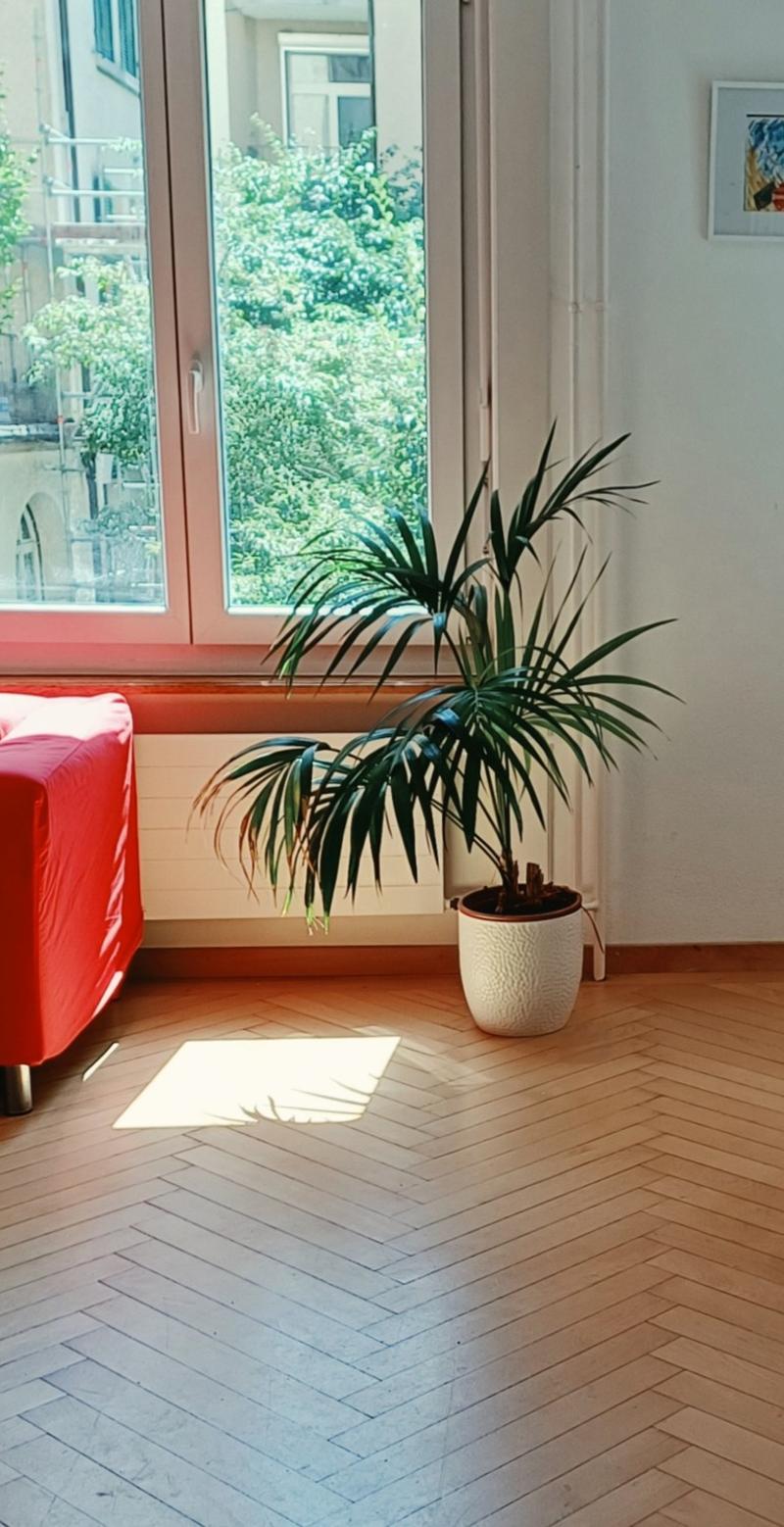 3-Bedroom Apartment in Breitsch (1)