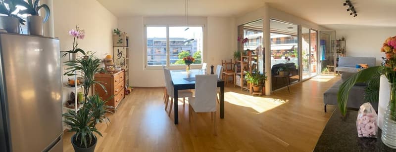 Flatmate for 4-person shared apartment in Gundeli (4)