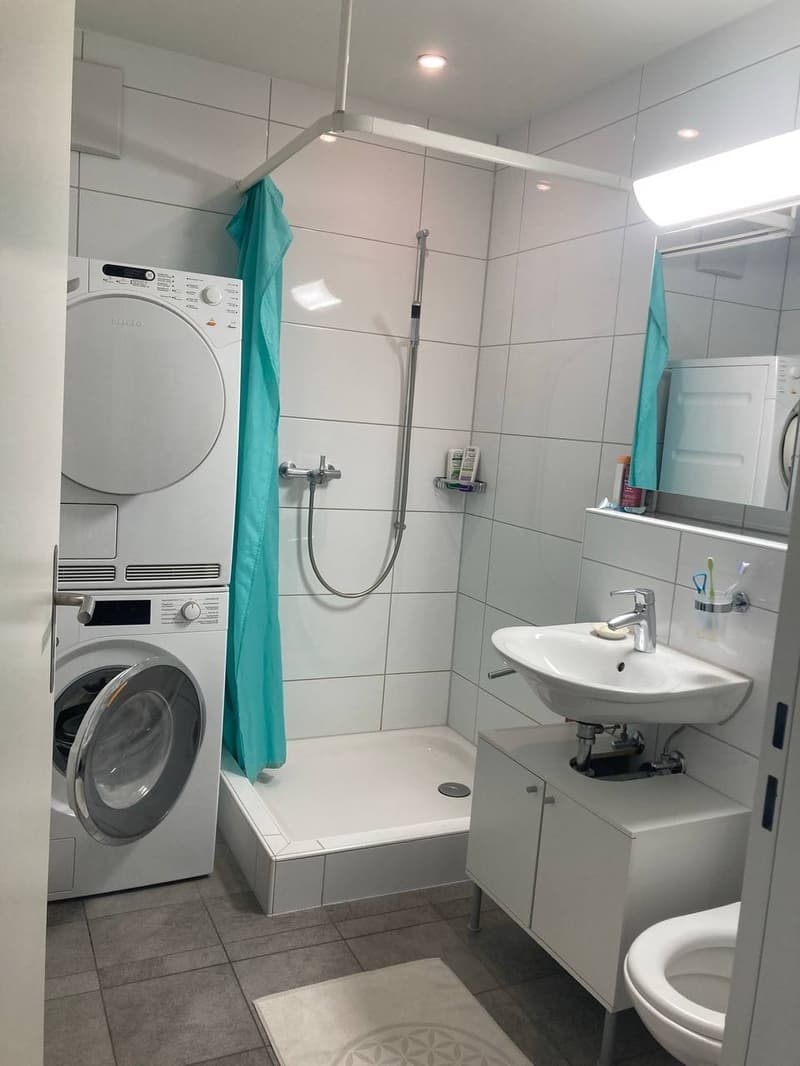 Flatmate for 4-person shared apartment in Gundeli (2)