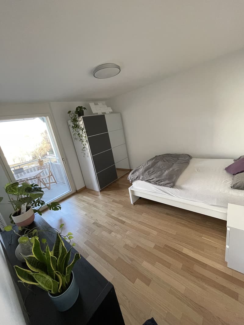 Untermiete einer möblierten 2-Zimmer Wohnung von September bis Februar (4)