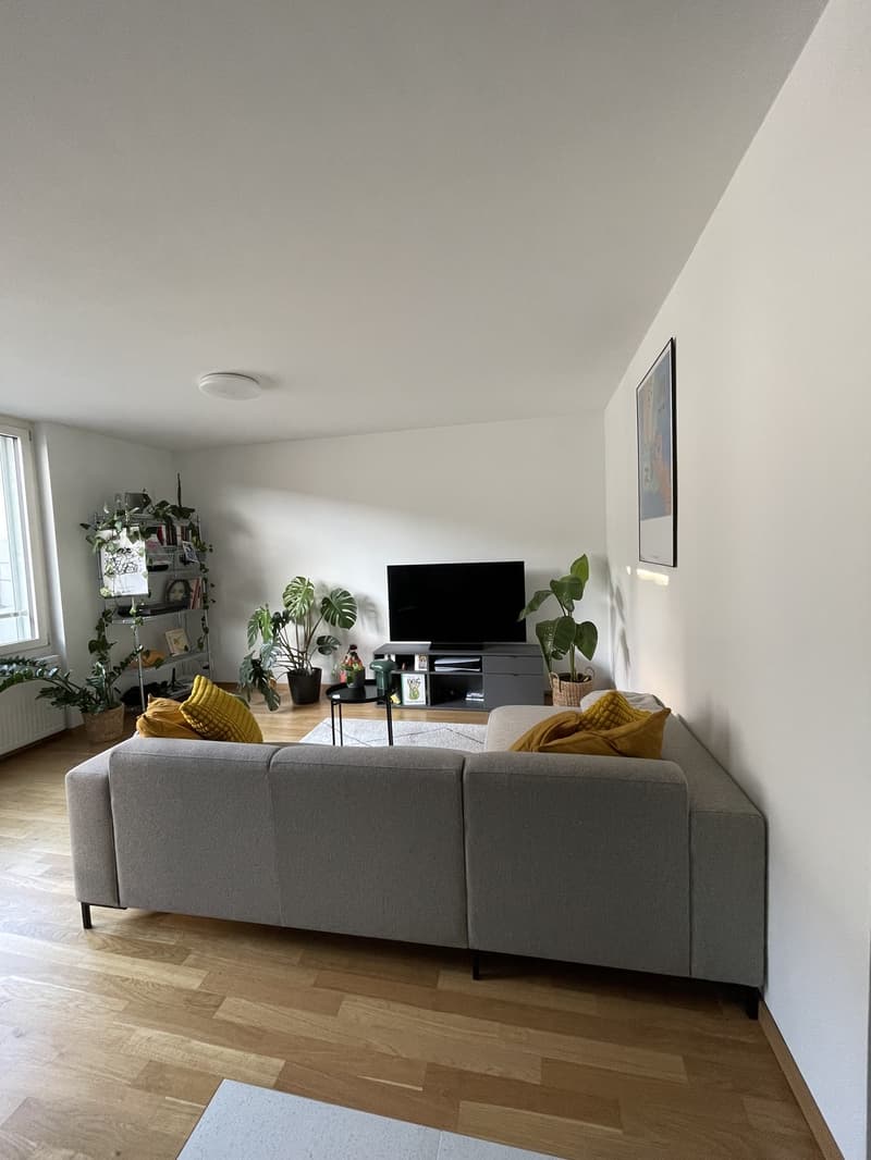 Untermiete einer möblierten 2-Zimmer Wohnung von September bis Februar (1)