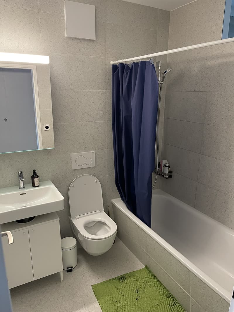 Untermiete einer möblierten 2-Zimmer Wohnung von September bis Februar (5)