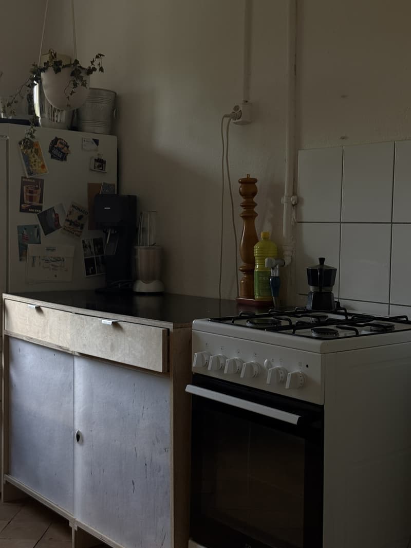 Big Central Zurich Flat available for whole September (3)