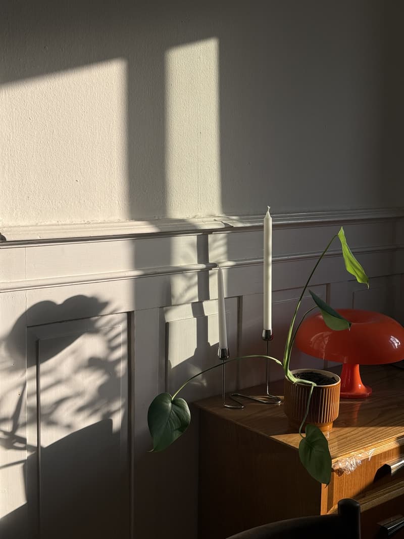 Big Central Zurich Flat available for whole September (2)