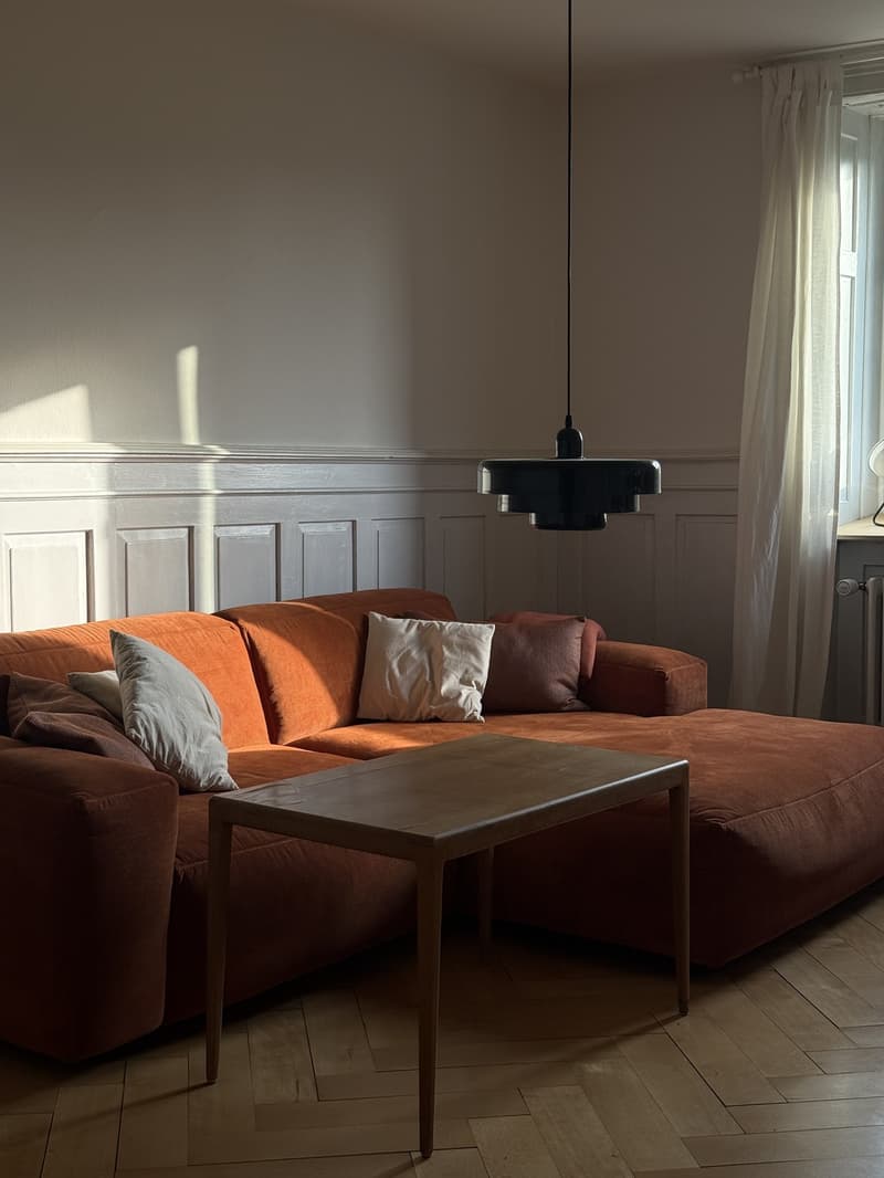 Big Central Zurich Flat available for whole September (1)