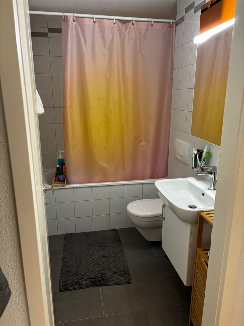 Möblierte Wohnung zur Zwischenmiete in Zürich-Albisrieden Okt-Dez 2026 (5)