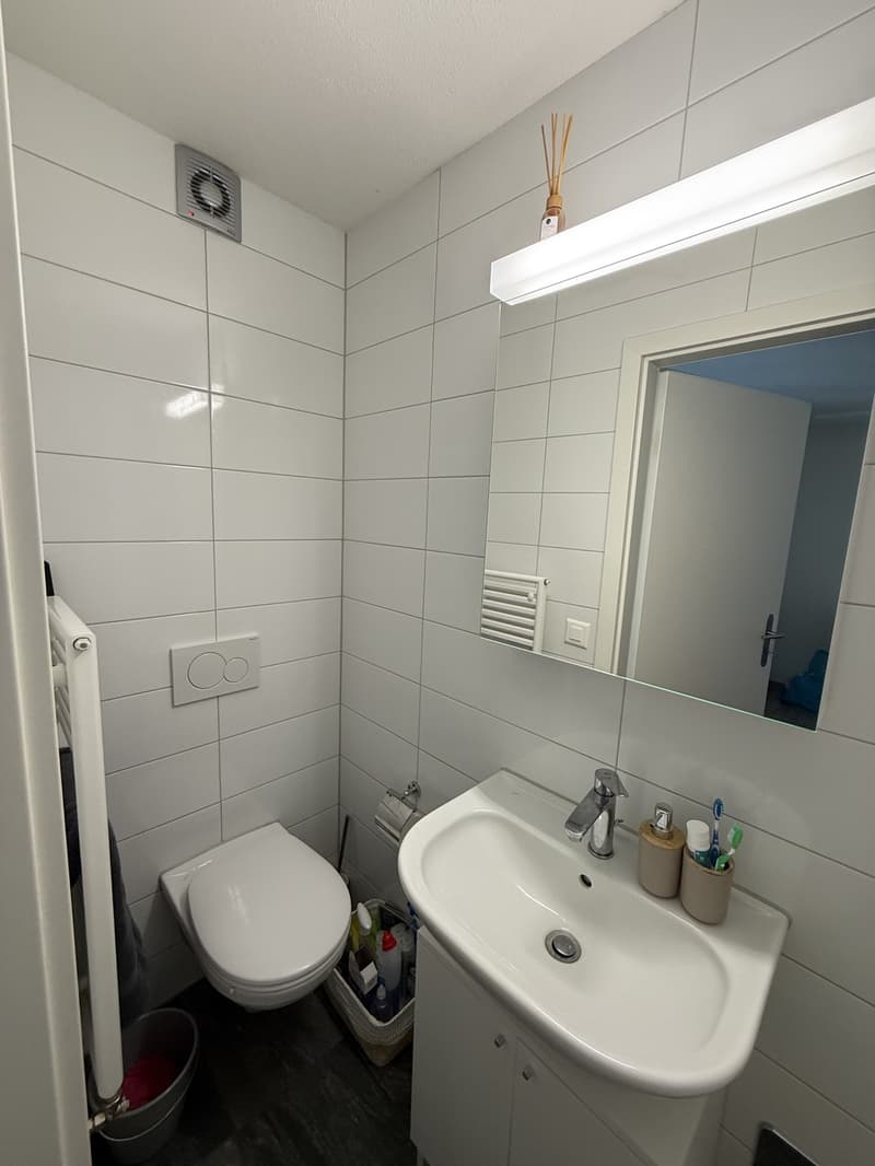 Apartment available from 1 November 2026 Baselstrasse, Luzern (7)