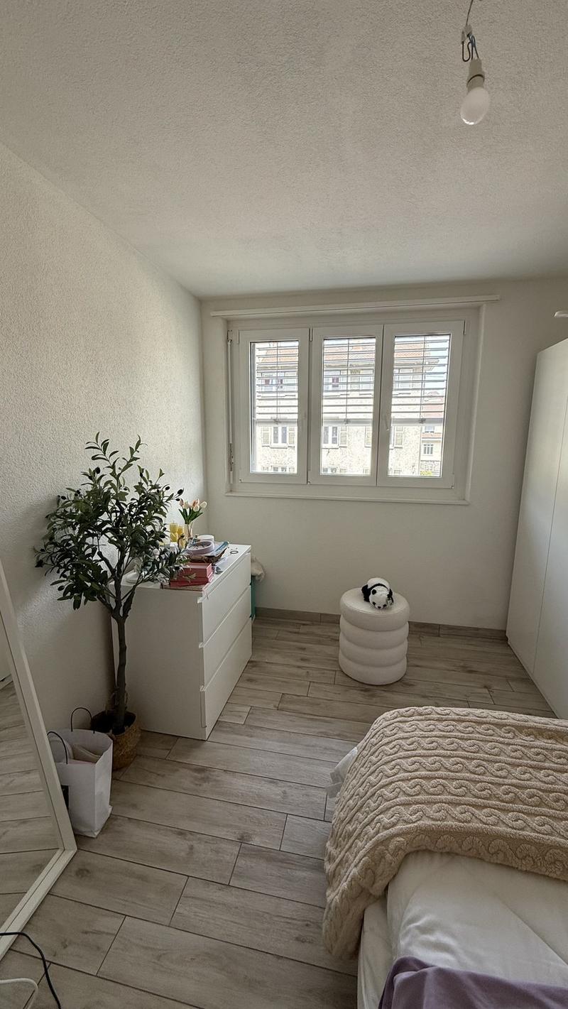 Apartment available from 1 November 2026 Baselstrasse, Luzern (6)