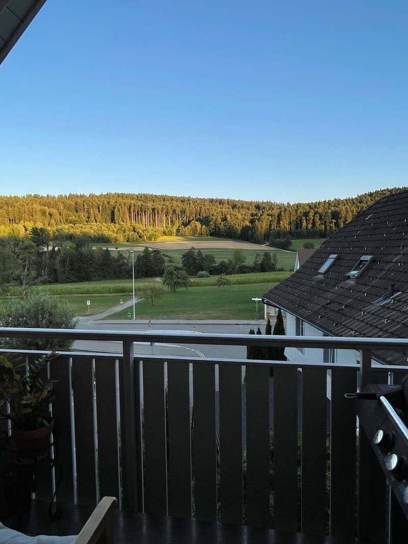 Appartement / Maisonette (5)