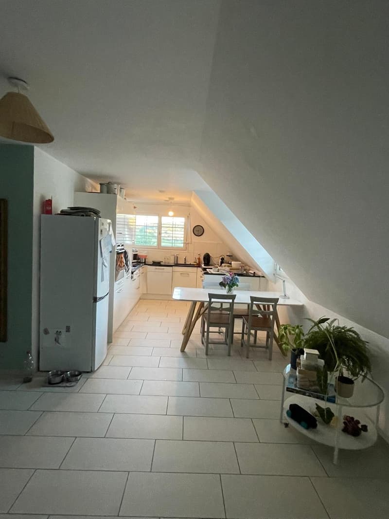 Appartement / Maisonette (7)