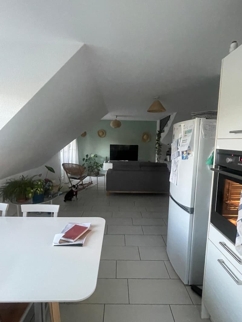 Appartement / Maisonette (4)
