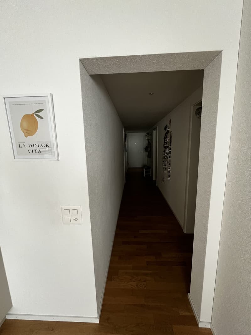 Grosses Zimmer in moderner Wohnung mit Garten befristet (FebruarJuni, flexibel) (3)
