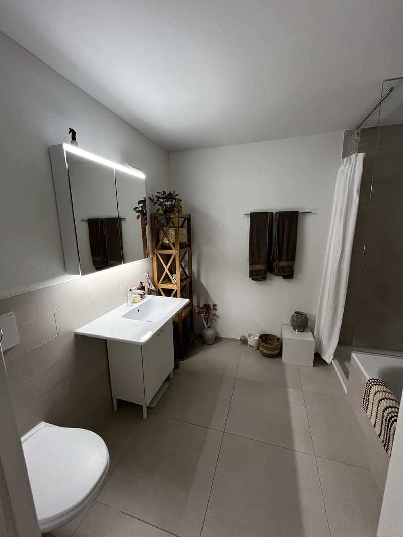 Grosses Zimmer in moderner Wohnung mit Garten befristet (FebruarJuni, flexibel) (7)
