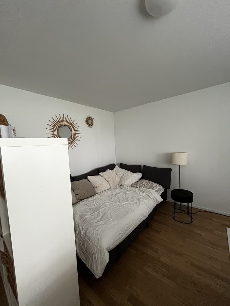 Grosses Zimmer in moderner Wohnung mit Garten befristet (FebruarJuni, flexibel) (12)