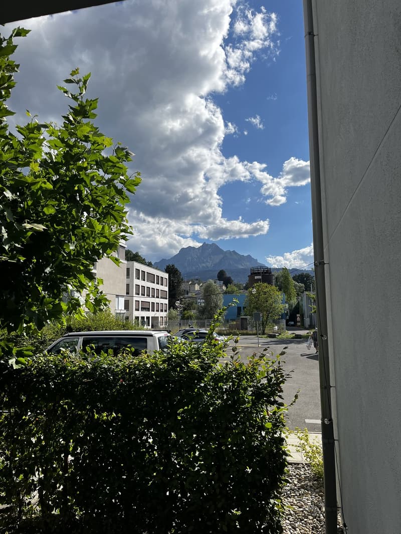 Grosses Zimmer in moderner Wohnung mit Garten befristet (FebruarJuni, flexibel) (11)