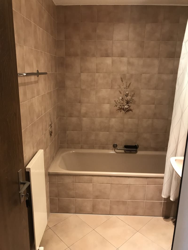 Shared room with private bathroom and large terrace in 8953 Dietikon (3)