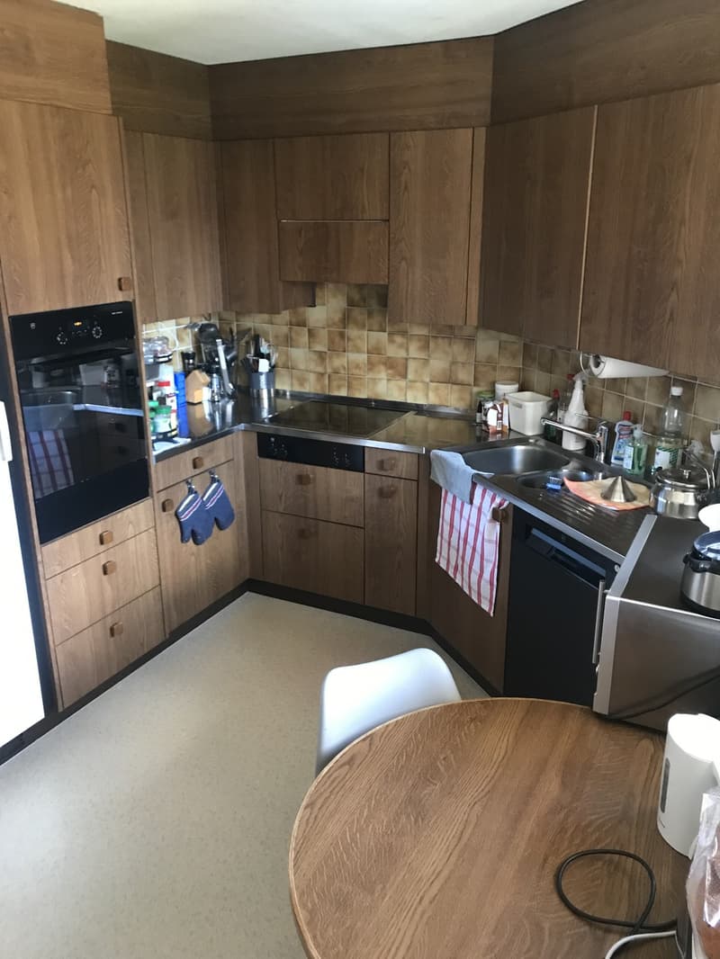 Shared room with private bathroom and large terrace in 8953 Dietikon (7)
