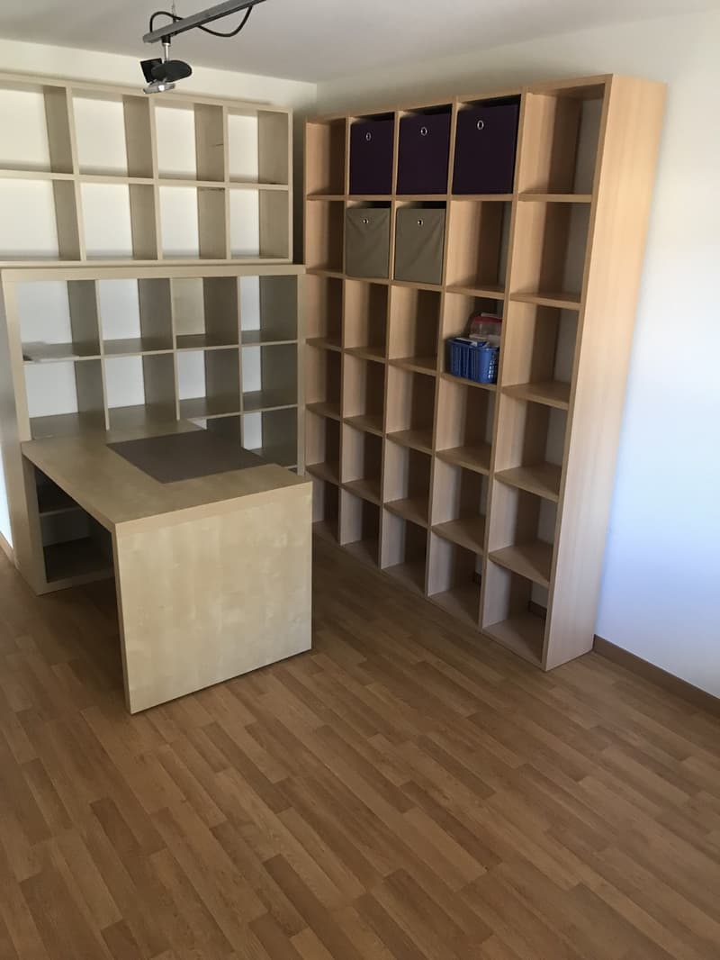 Shared room with private bathroom and large terrace in 8953 Dietikon (2)