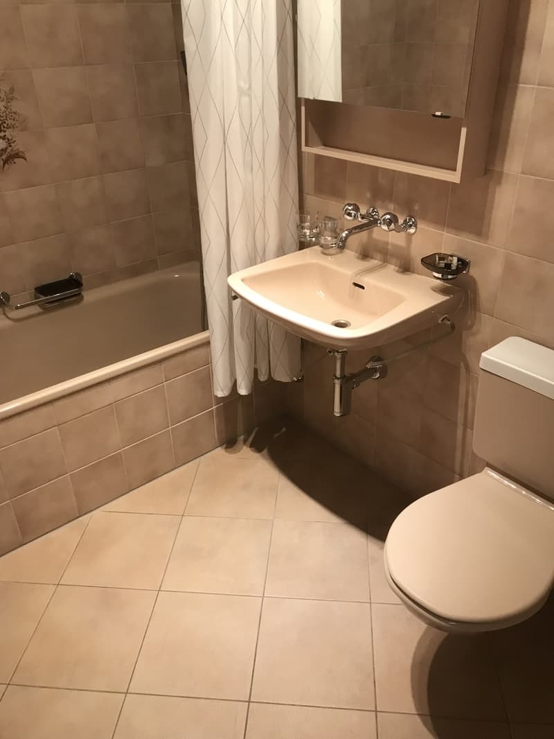 Shared room with private bathroom and large terrace in 8953 Dietikon (4)