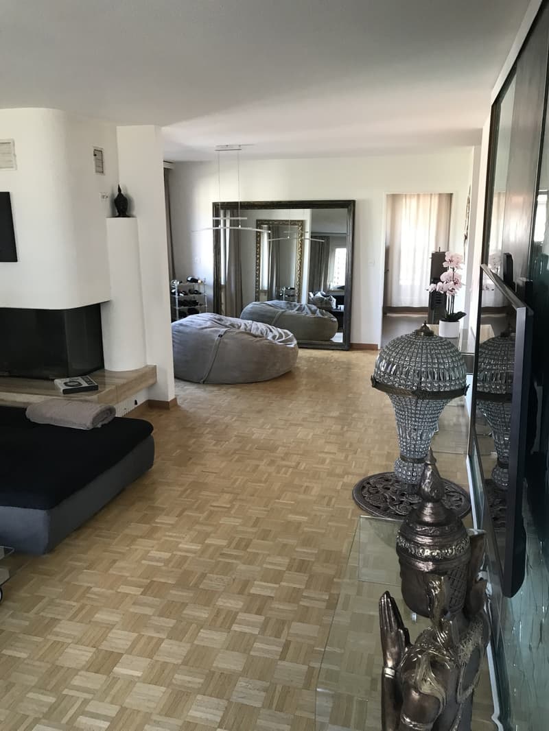 Shared room with private bathroom and large terrace in 8953 Dietikon (5)