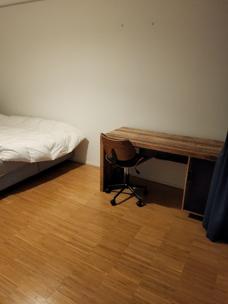 Schönes WG-Zimmer (6)