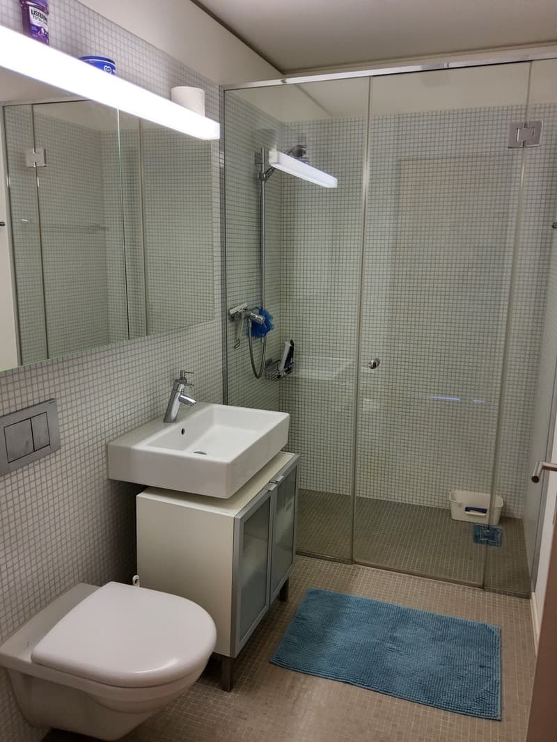 Schönes WG-Zimmer (3)