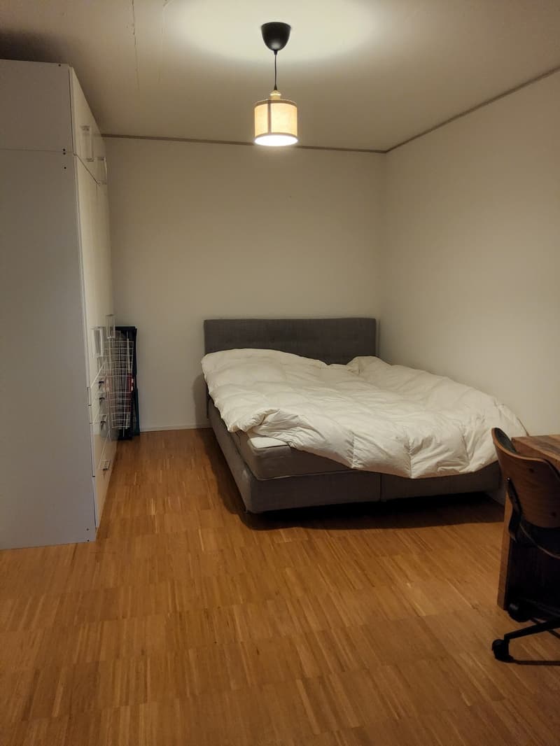 Schönes WG-Zimmer (5)