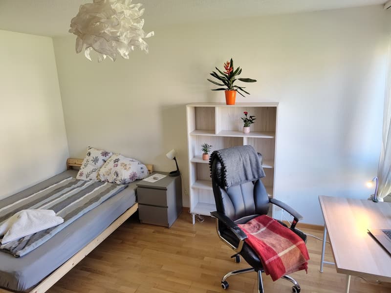 Chambre dans appartement partagé Oerlikon - immédiat sans dépôt (6)