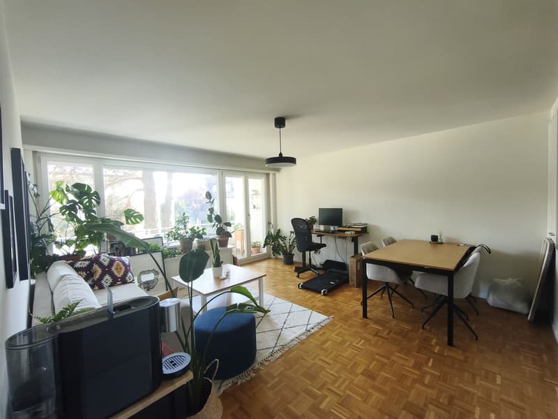 Calm and fresh apartment (1)