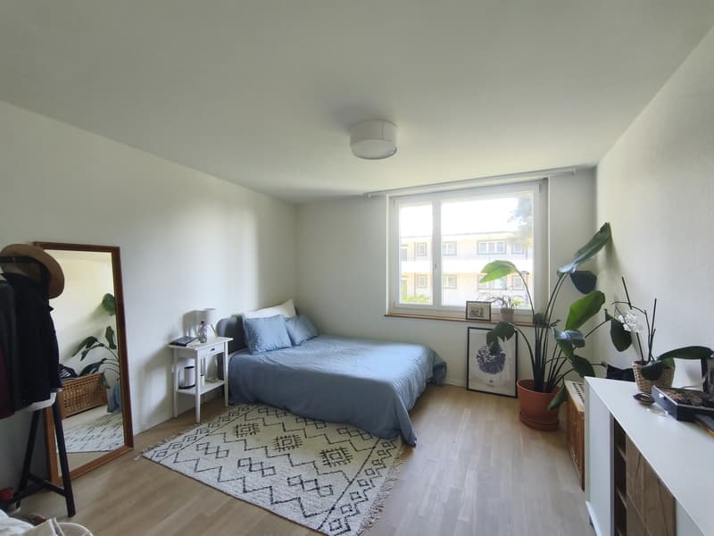 Calm and fresh apartment (3)