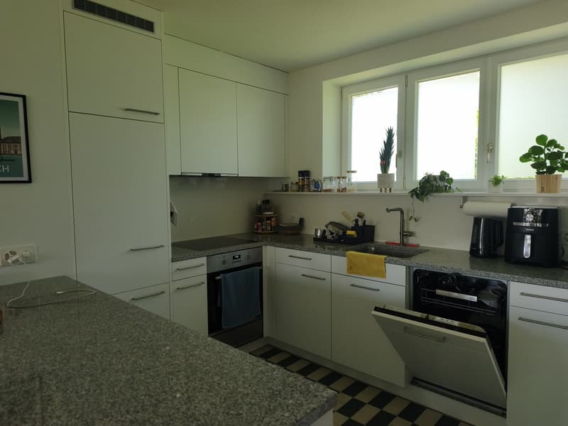 Calm and fresh apartment (2)
