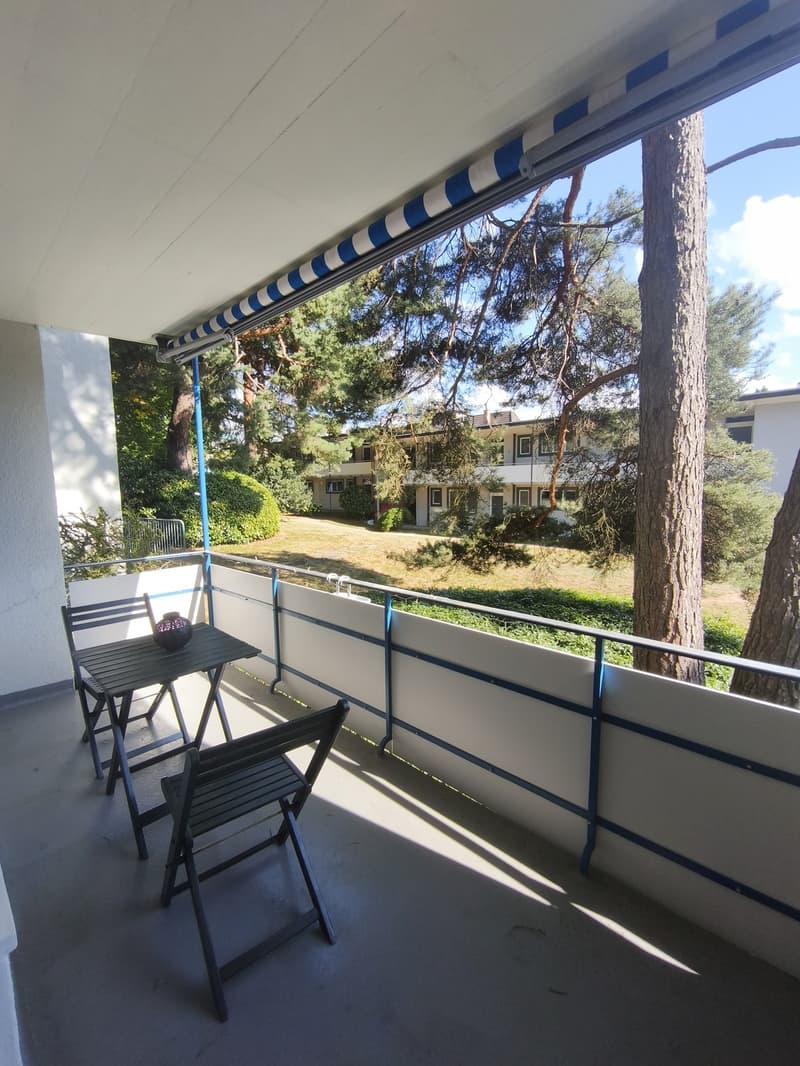 Calm and fresh apartment (9)