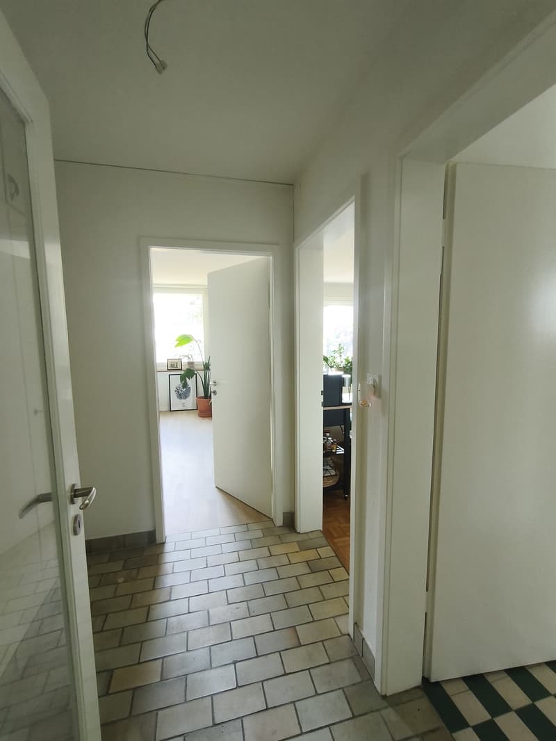 Calm and fresh apartment (7)